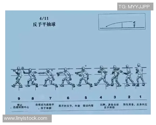 重庆羽毛球队整体压制战术解析与实战应用探讨