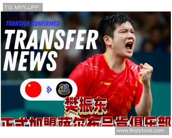 乒乓球的魅力与策略探秘:北京乒乓球队的成功之道与控制技巧分析